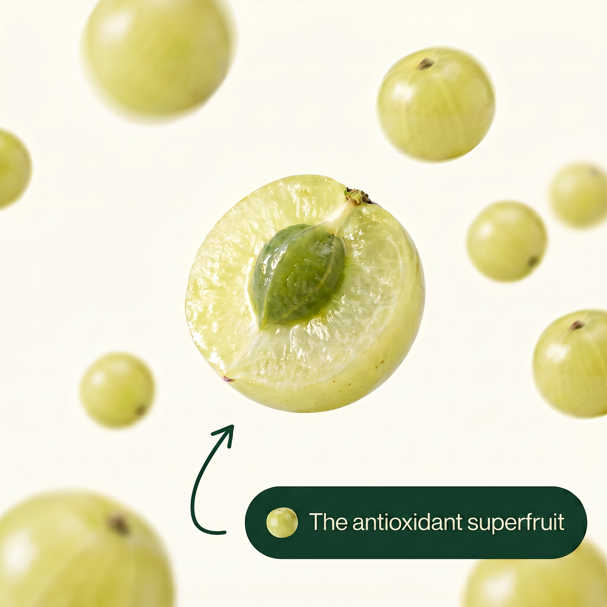 Amla - Natural Antioxidant 1,000mg