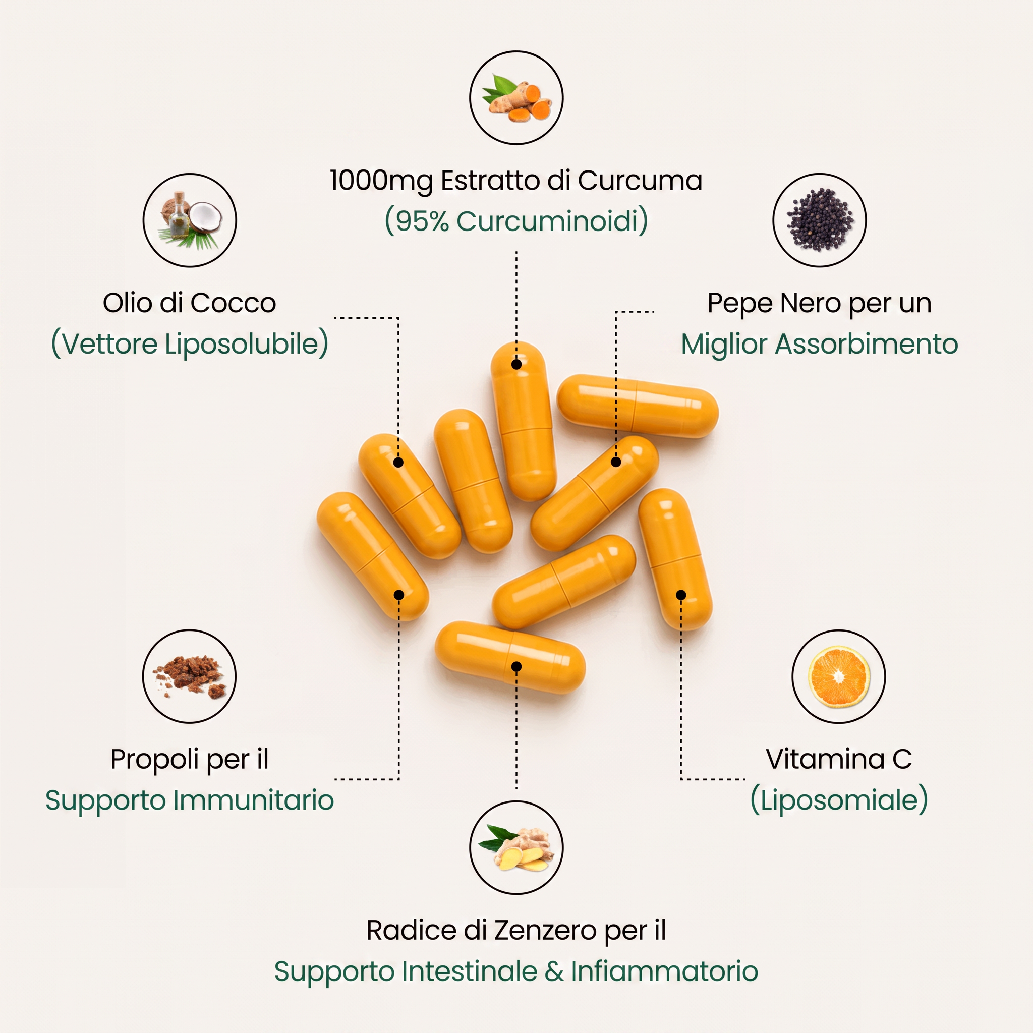 Ritrova Mobilità e Benessere Articolare - Curcuma (1000mg)