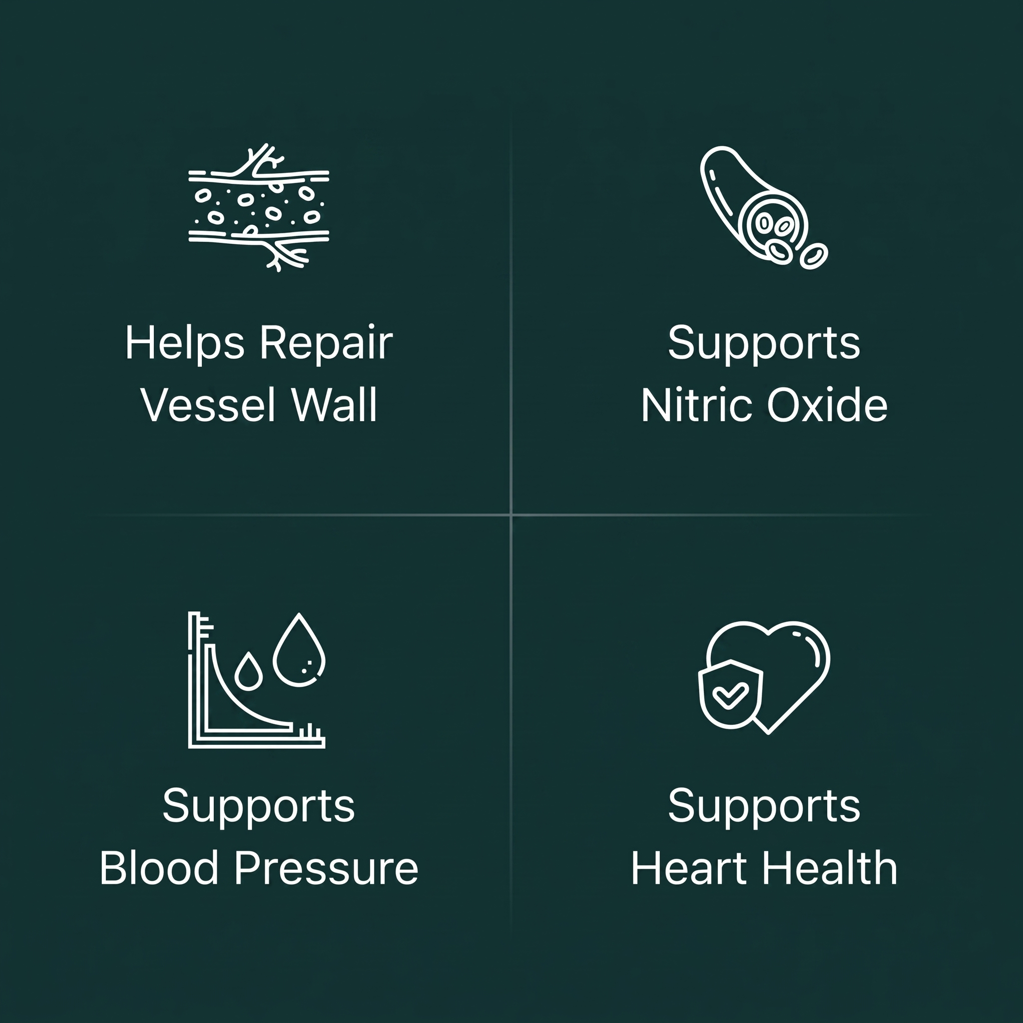 Amla - Blood Pressure Support