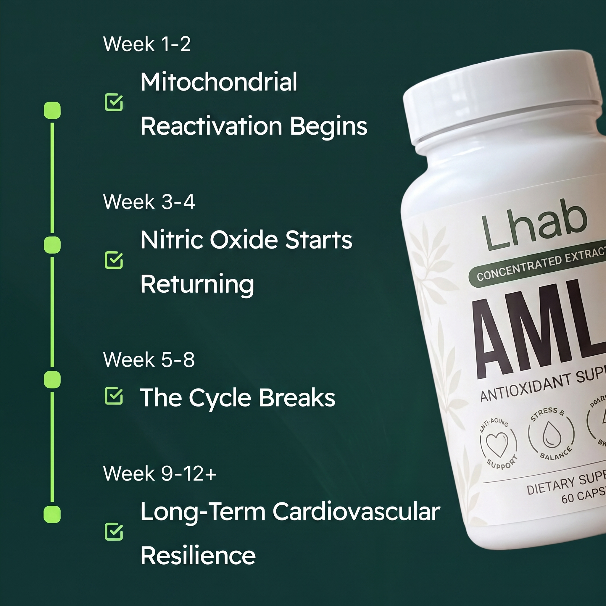 Amla - Cholesterol Support After Menopause